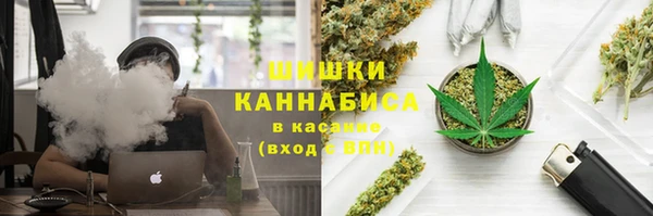 сатива Няндома