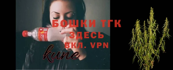 тгк Нязепетровск
