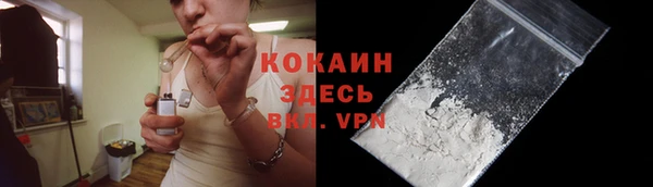 сатива Няндома