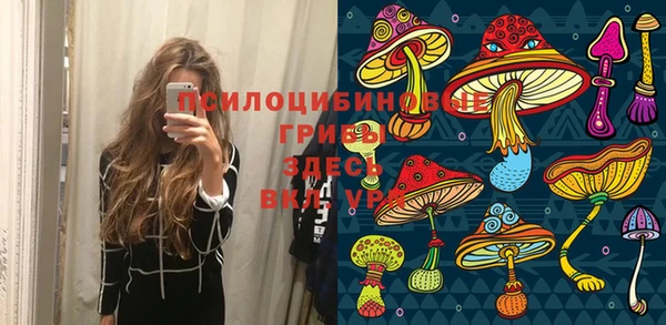 гашик Нягань