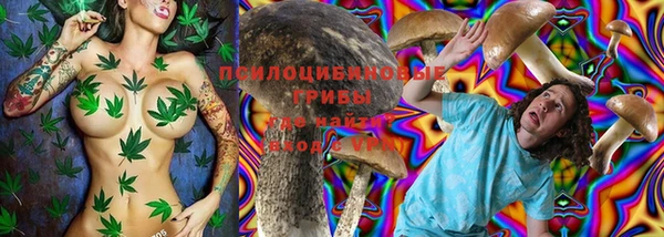 сатива Няндома