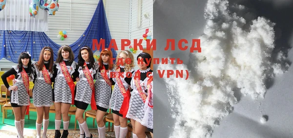 сатива Няндома