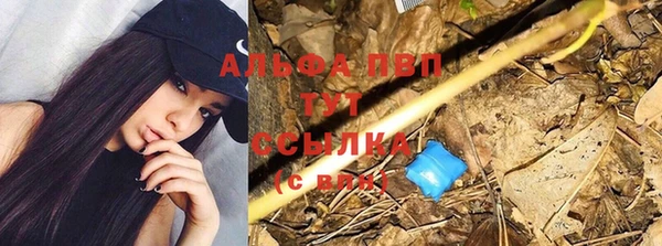 сатива Няндома