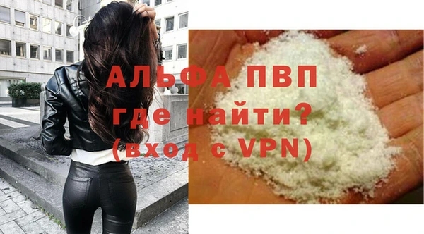сатива Няндома