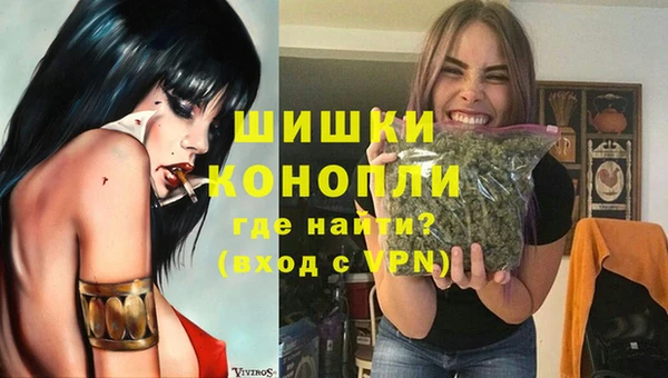 гашик Нягань