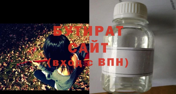 сатива Няндома